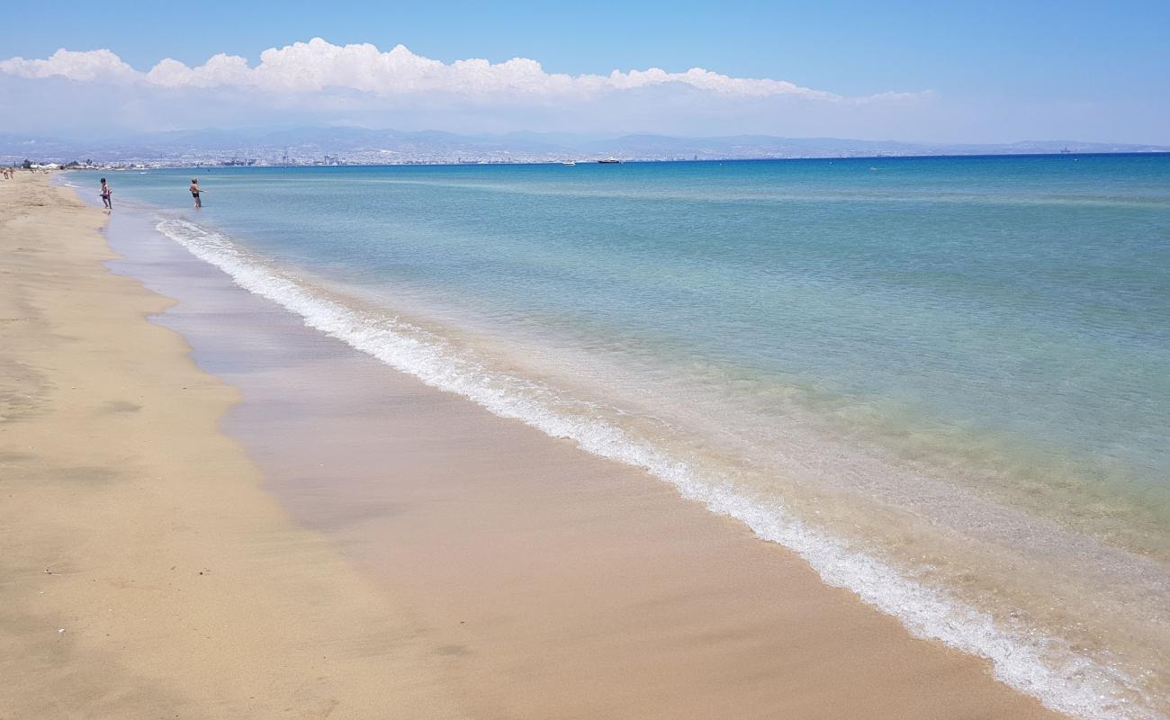 Lady's Mile beach'in fotoğrafı açık bej kum yüzey ile