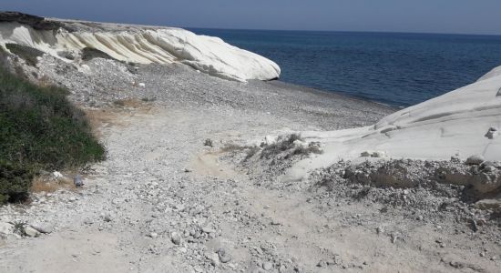 Limassol Dog's beach