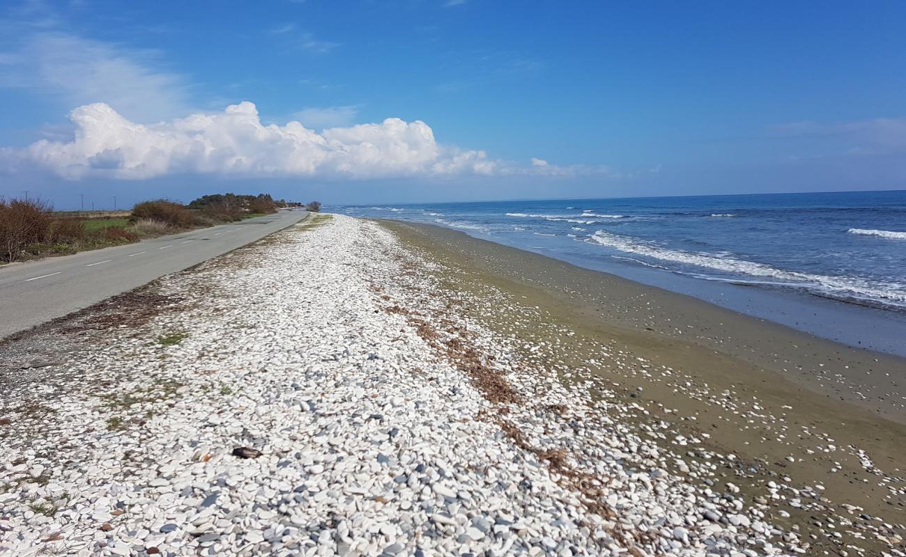 Larnaka beach'in fotoğrafı gri kum yüzey ile