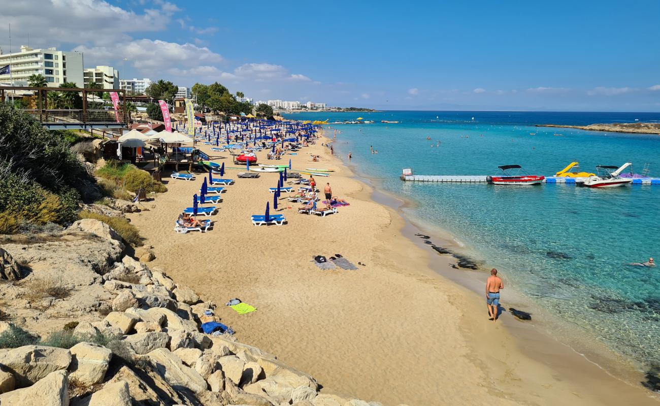 Fig Tree Bay'in fotoğrafı parlak ince kum yüzey ile