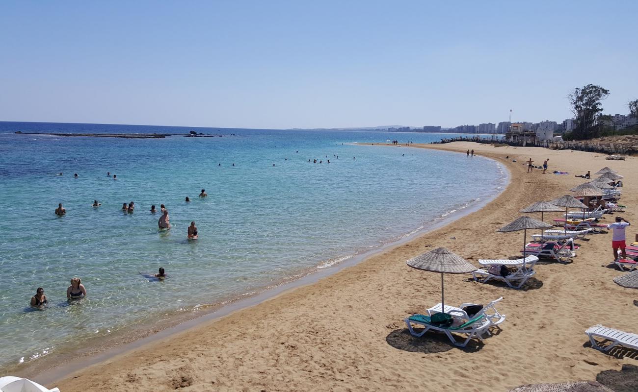 Palm beach'in fotoğrafı parlak ince kum yüzey ile