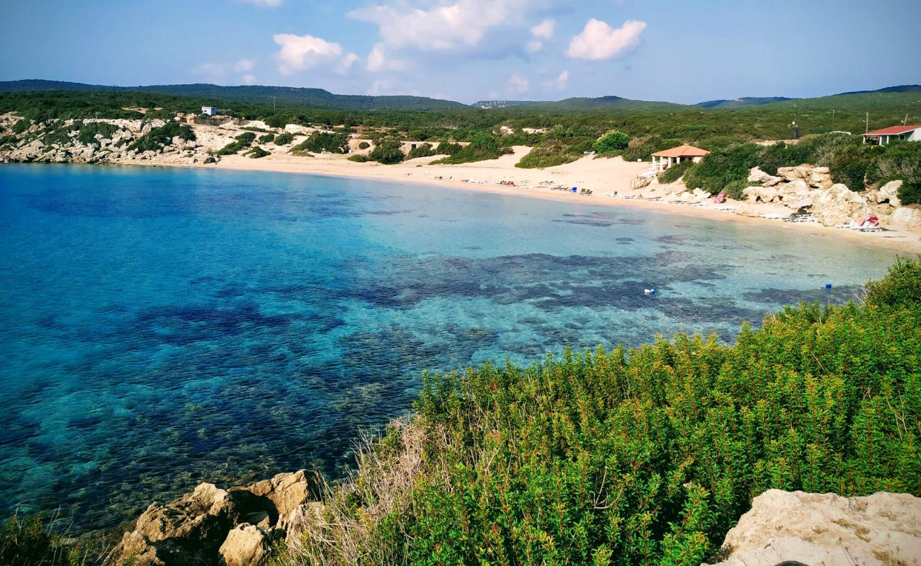 Sea Bird Motel beach'in fotoğrafı i̇nce bej kum yüzey ile
