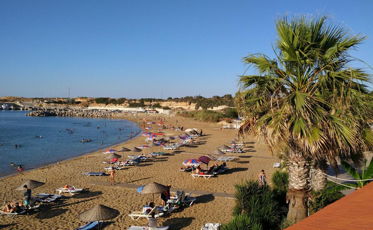 Malibu beach'in fotoğrafı parlak ince kum yüzey ile