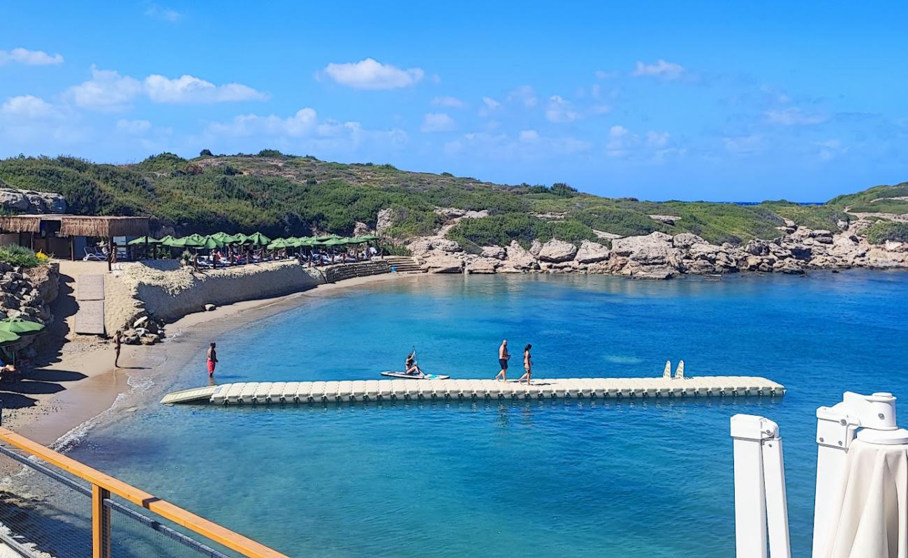 Lido Cyprus Beach'in fotoğrafı açık bej kum yüzey ile