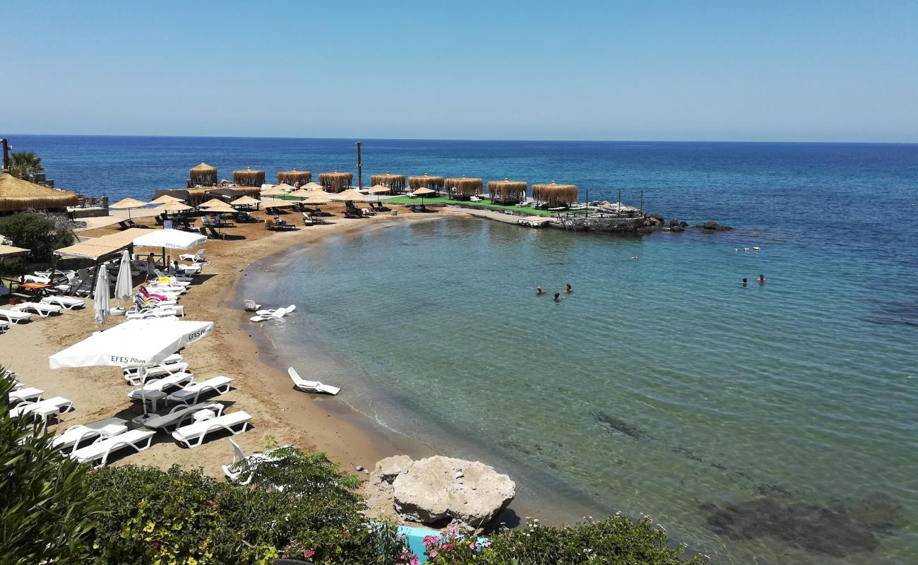 Eden Beach'in fotoğrafı açık bej kum yüzey ile