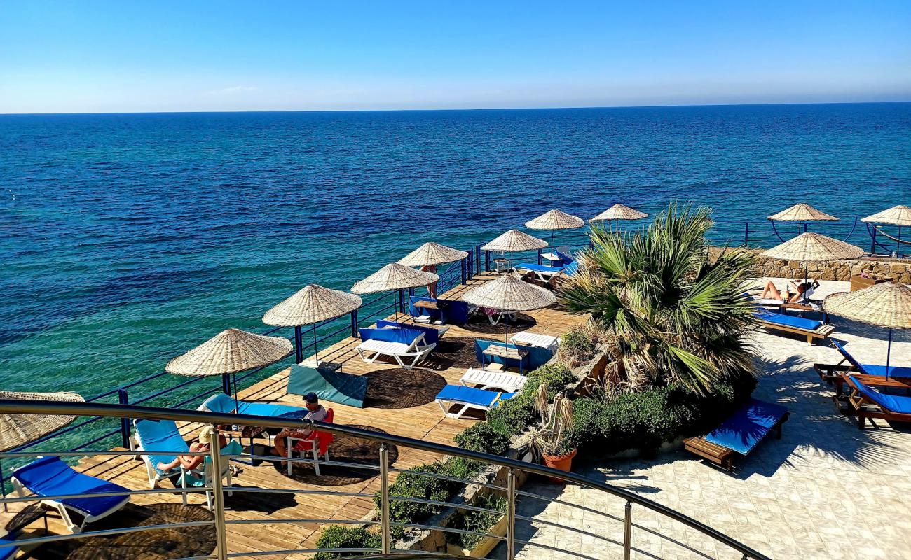 Manolya Resort Beach'in fotoğrafı beton kaplı yüzey yüzey ile