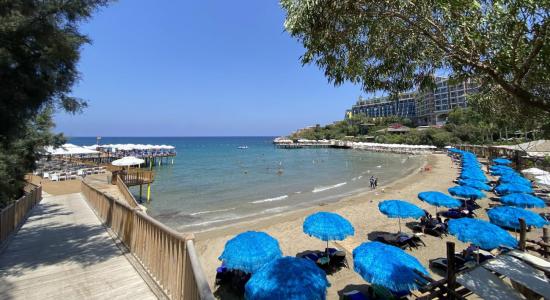 Merit Crystal Beach