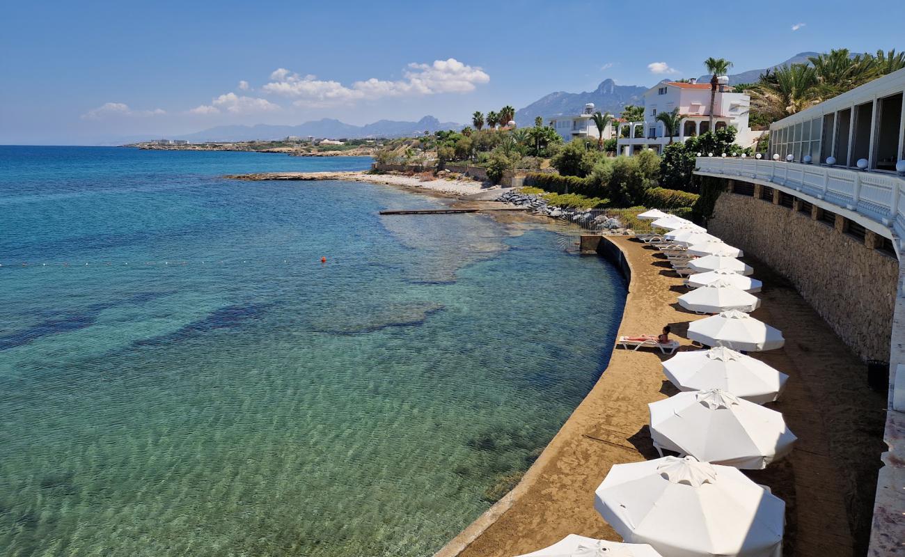 Vuni Palace Beach'in fotoğrafı beton kaplı yüzey yüzey ile