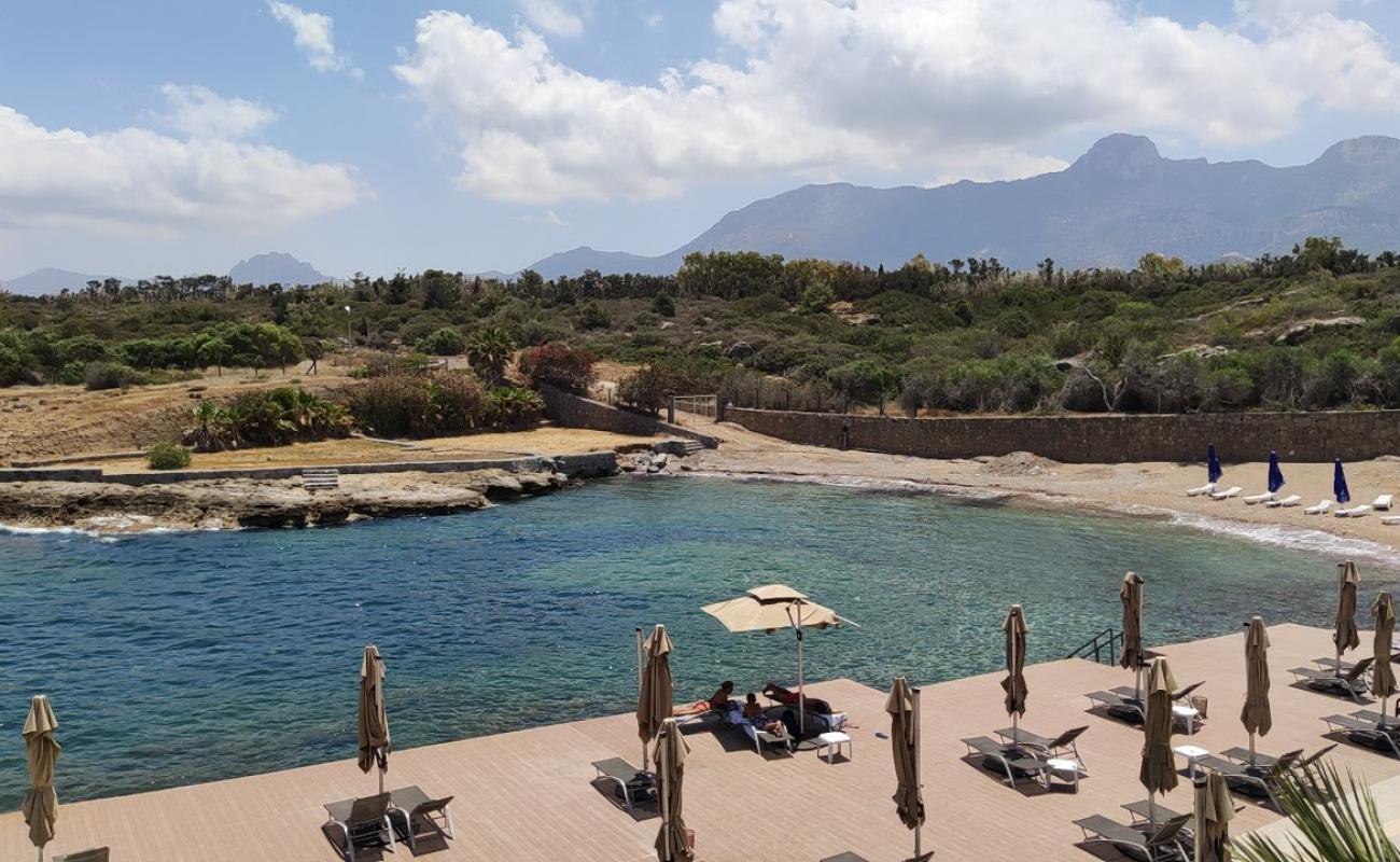 Shayna Beach'in fotoğrafı gri kum yüzey ile