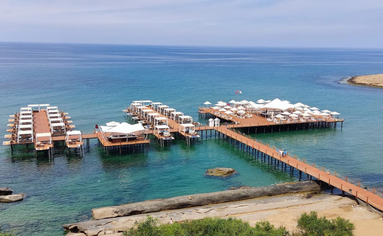 Elexus Beach'in fotoğrafı açık bej kum yüzey ile