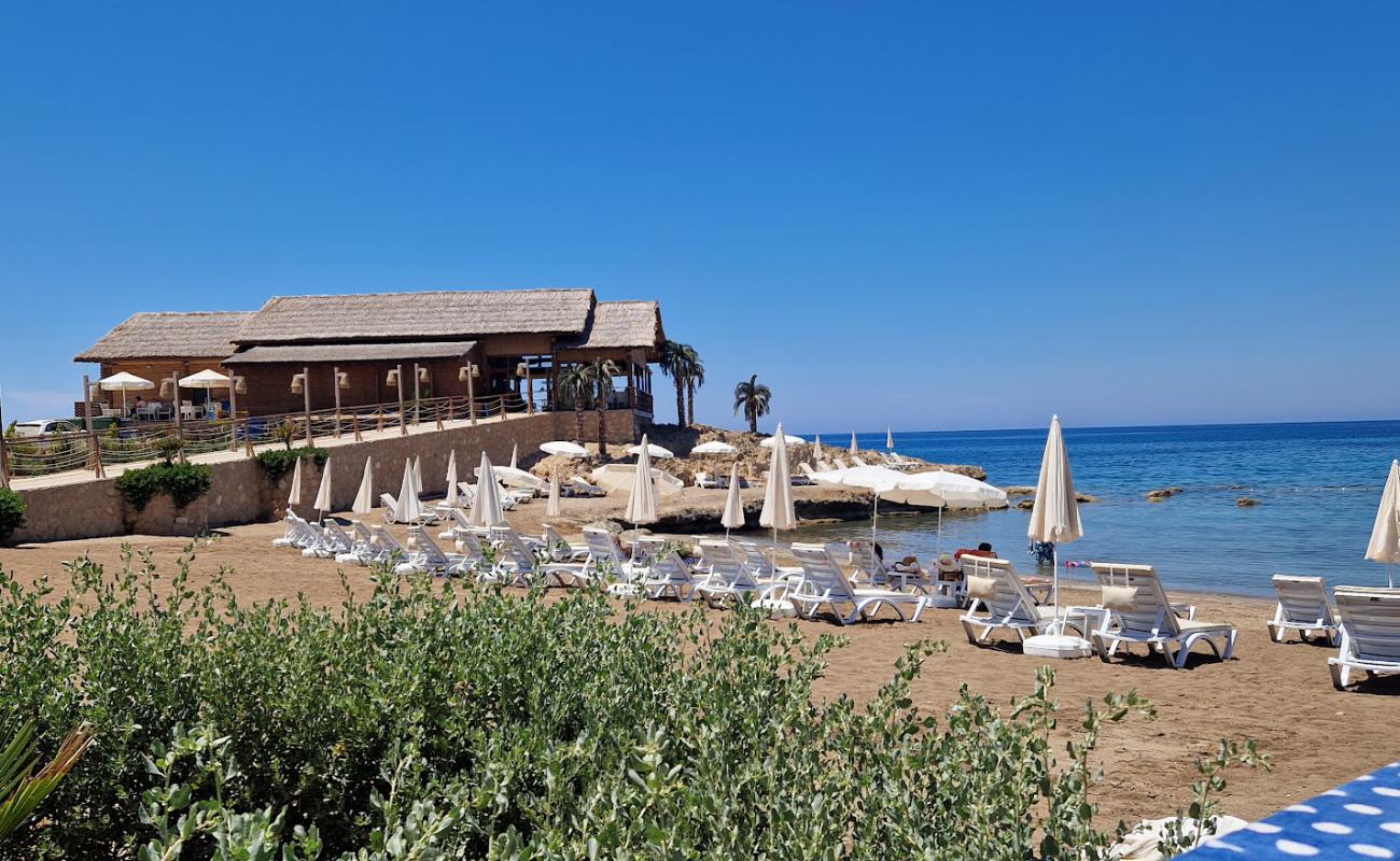 Satin Bay Beach'in fotoğrafı açık bej kum yüzey ile