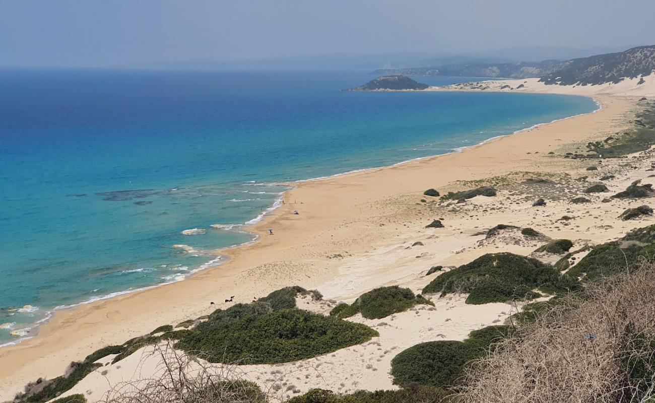 Karpaz Kaplumbaga Plaji'in fotoğrafı açık bej kum yüzey ile