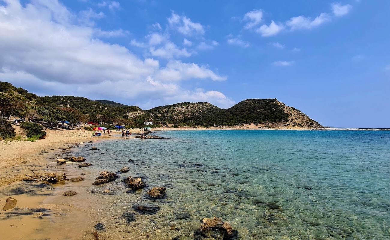 Dipkarpaz Piknik Alani Beach'in fotoğrafı açık bej kum yüzey ile