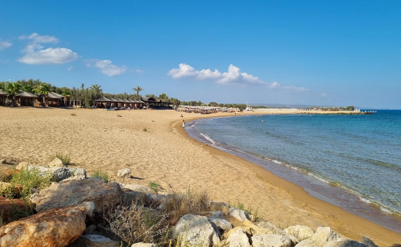 Noah's Ark Beach'in fotoğrafı açık bej kum yüzey ile