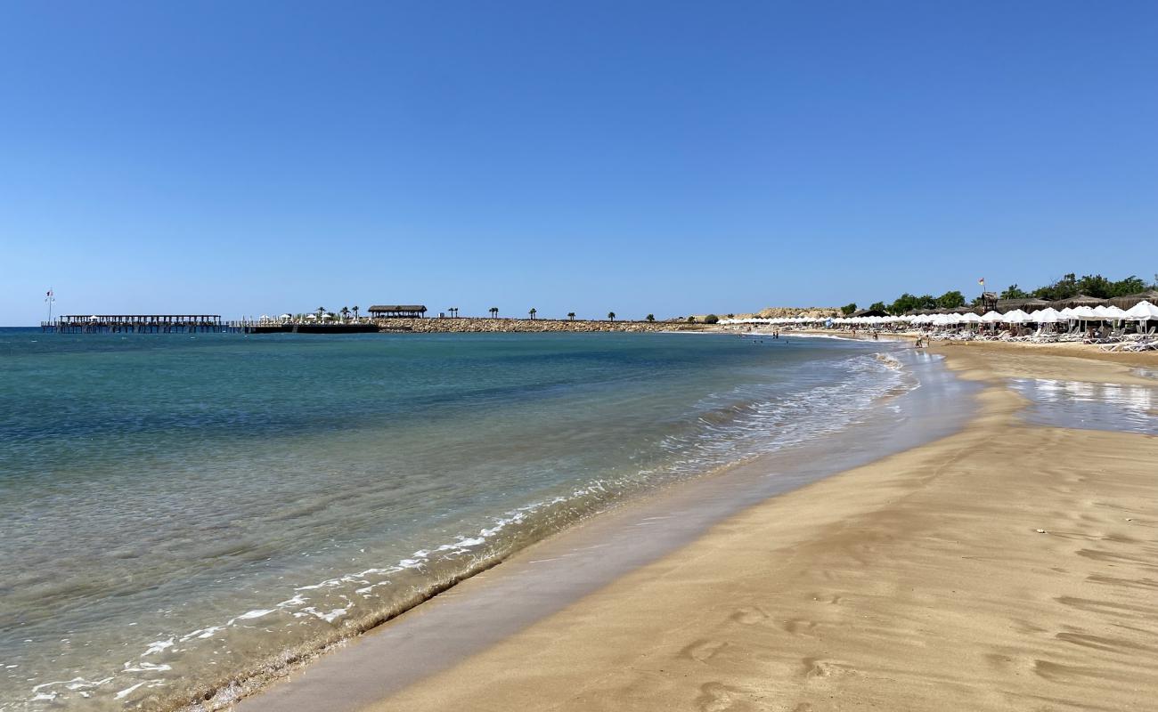 Concorde Beach'in fotoğrafı açık bej kum yüzey ile