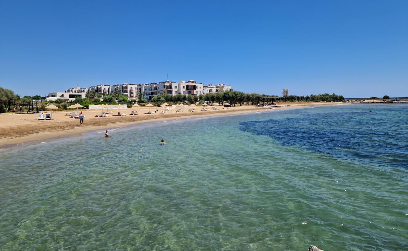 Thalassa Beach'in fotoğrafı açık bej kum yüzey ile
