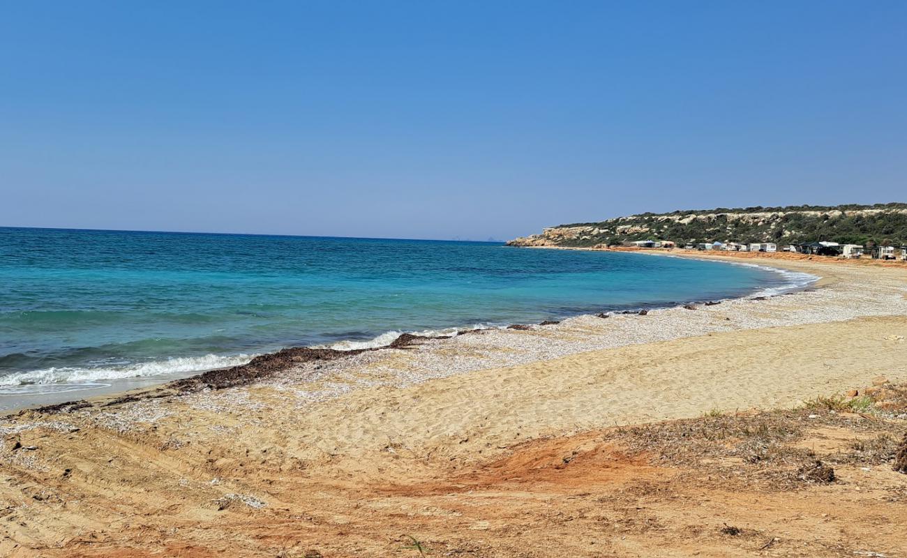Cayirova Sahil Beach'in fotoğrafı bej kum ve çakıl yüzey ile
