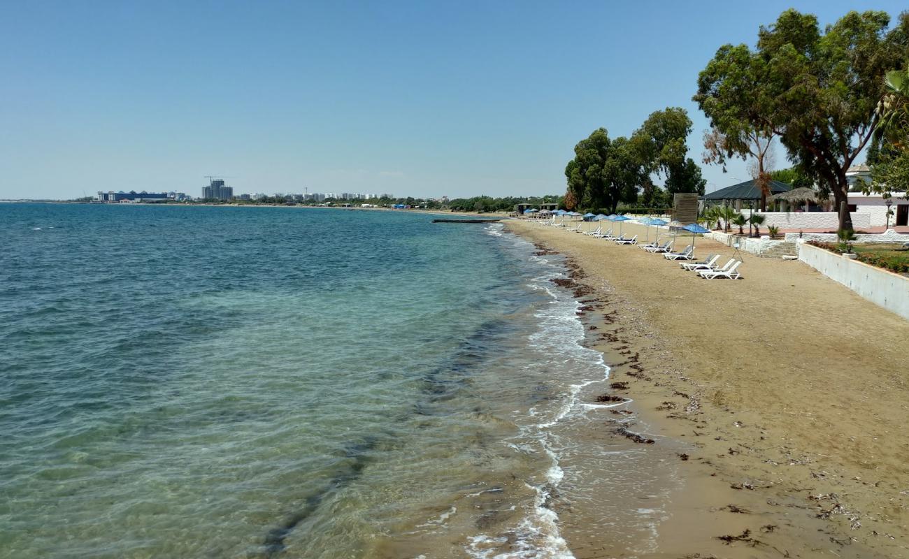 Merit Cyprus Gardens Beach'in fotoğrafı açık bej kum yüzey ile
