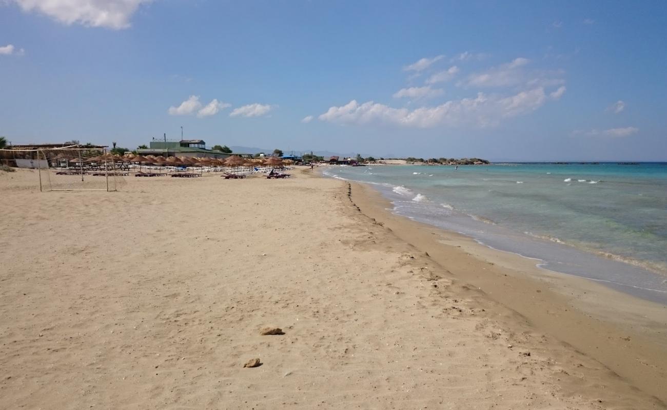 Golden Bay Beach'in fotoğrafı açık bej kum yüzey ile