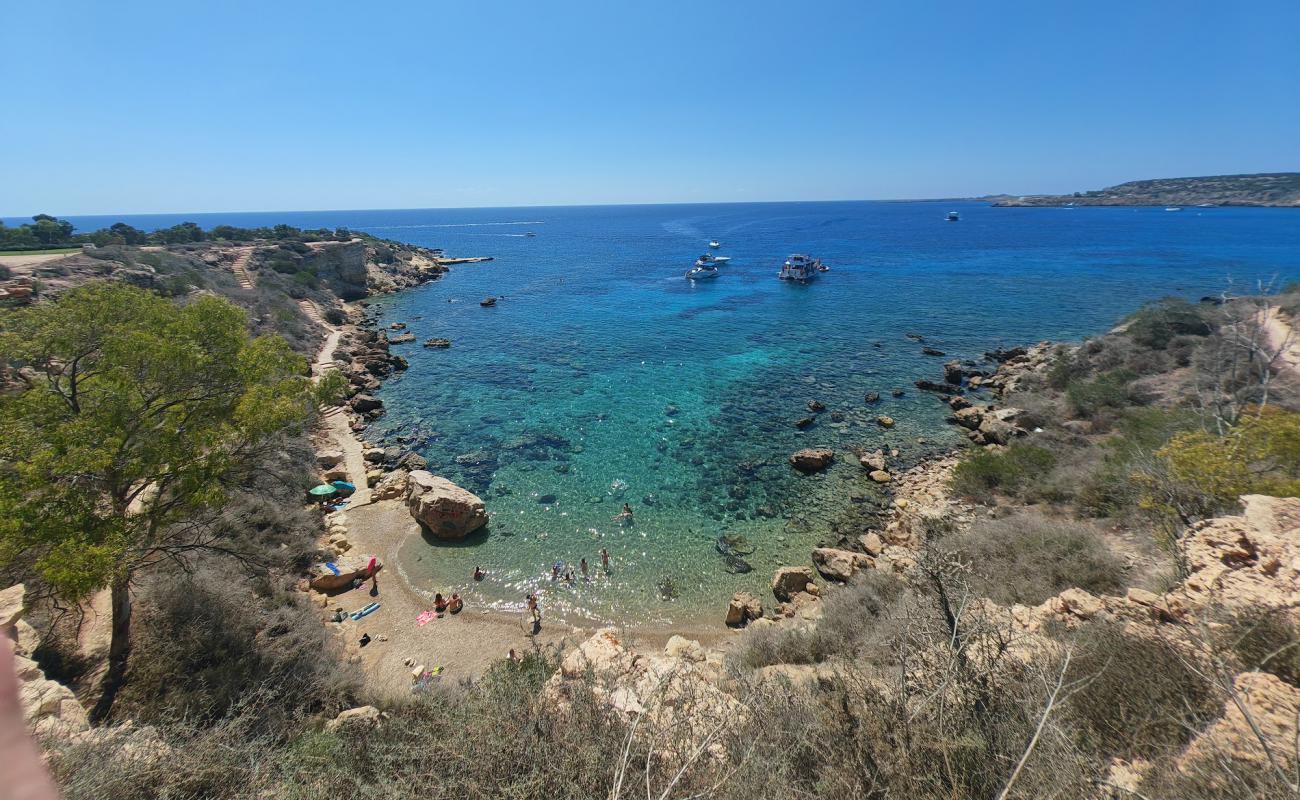 Turtle Beach, Protaras'in fotoğrafı kayalık arazi yüzey ile