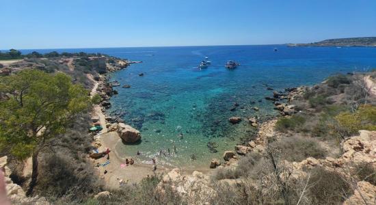 Turtle Beach, Protaras