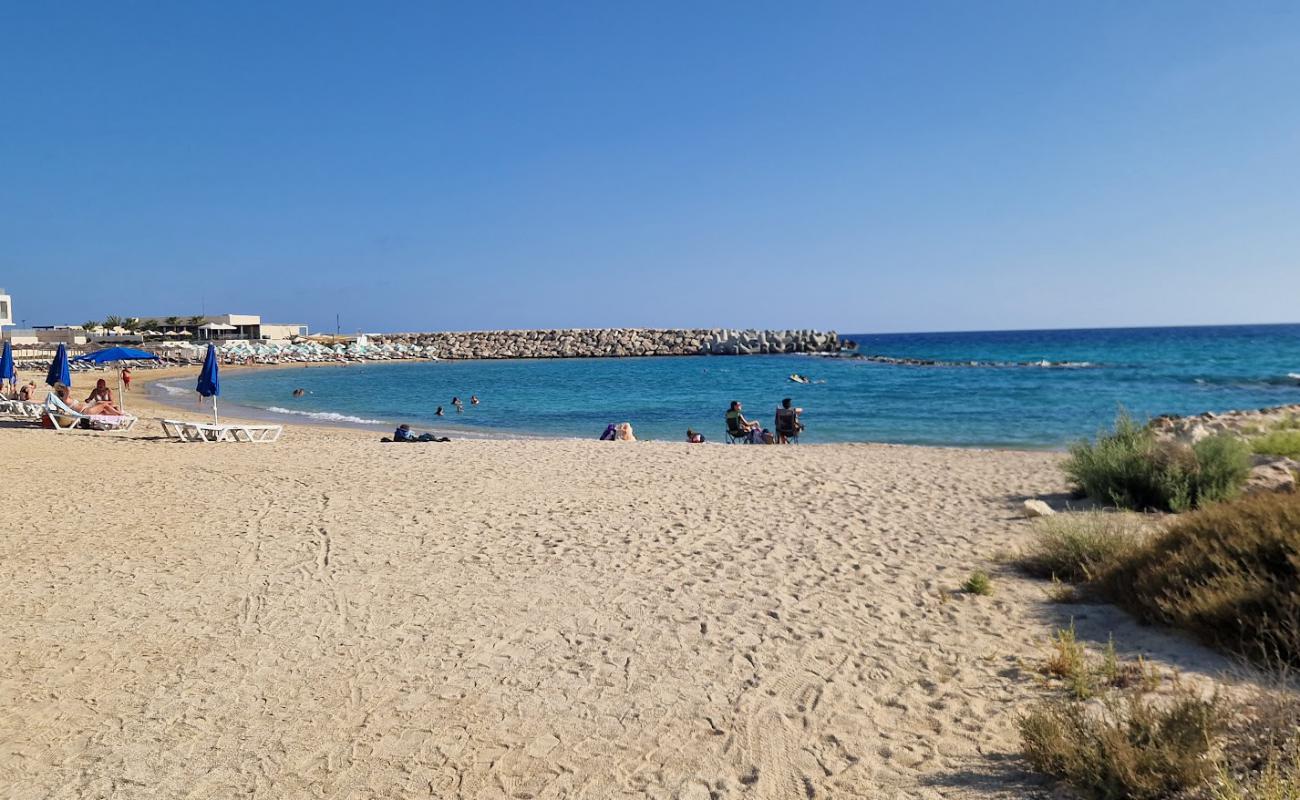 Ayia Napa Turtle Beach'in fotoğrafı açık bej kum yüzey ile