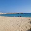 Ayia Napa Turtle Beach