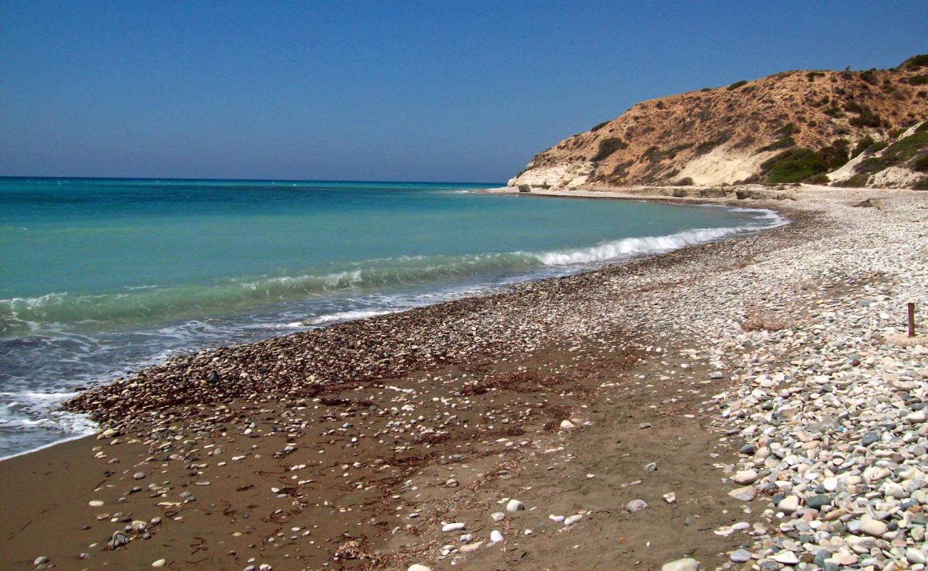 Ranti Forest Beach'in fotoğrafı gri çakıl taşı yüzey ile