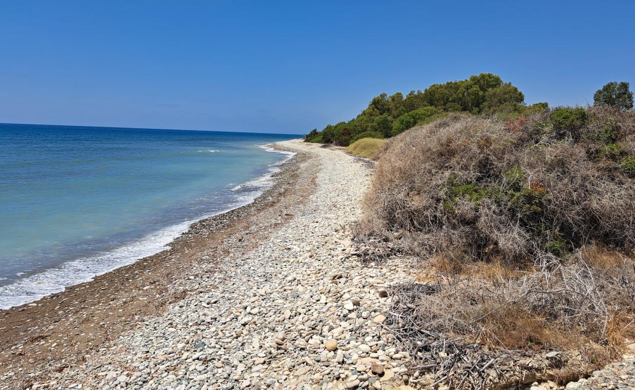 Ranti Forest Beach'in fotoğrafı gri çakıl taşı yüzey ile