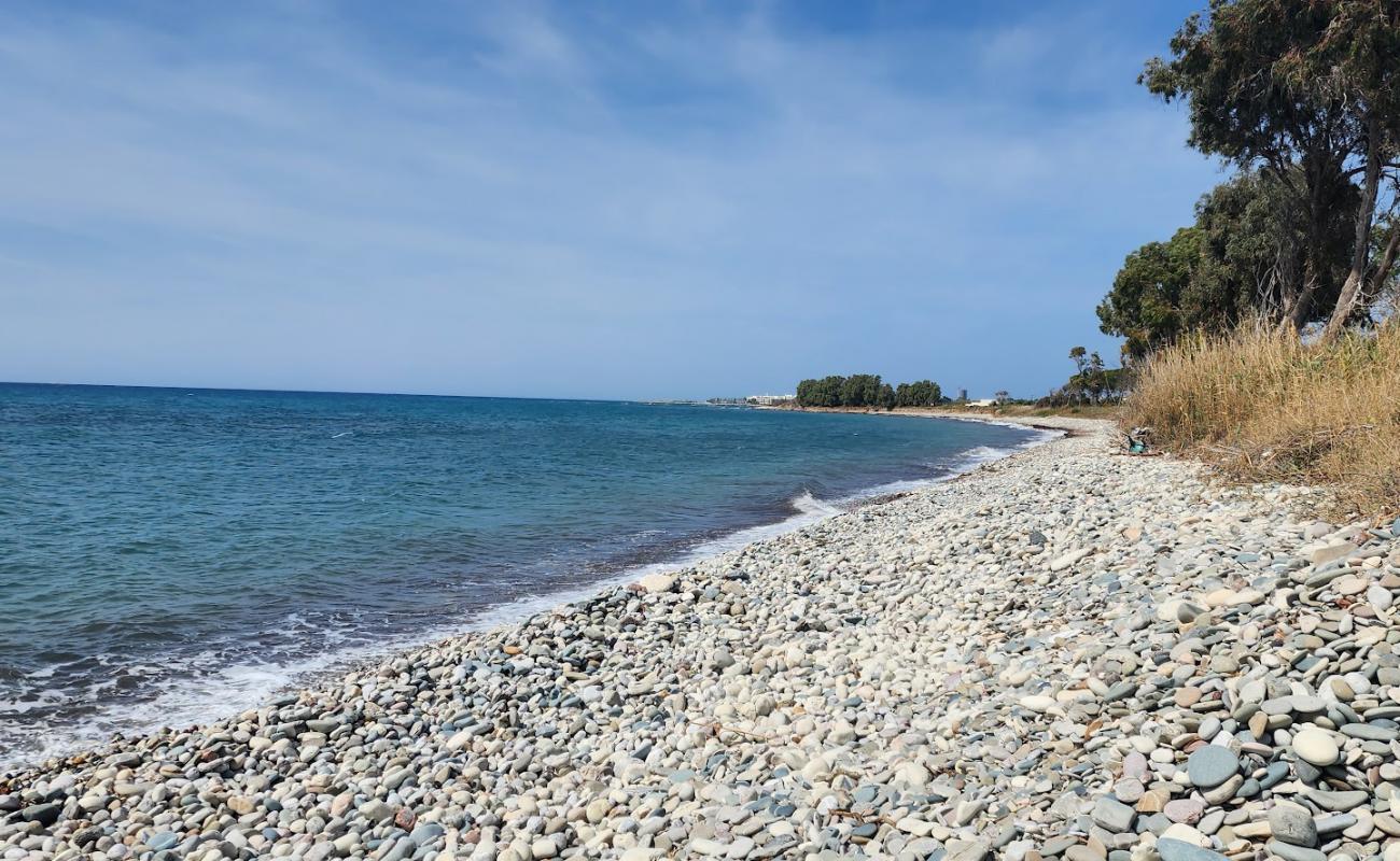Achelia Dog Beach'in fotoğrafı gri çakıl taşı yüzey ile
