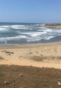 Akdeniz