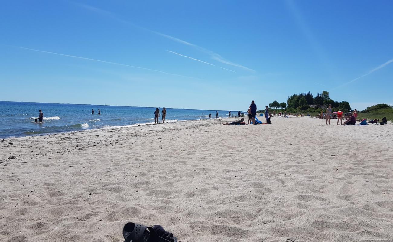 Drejby Beach'in fotoğrafı parlak kum yüzey ile