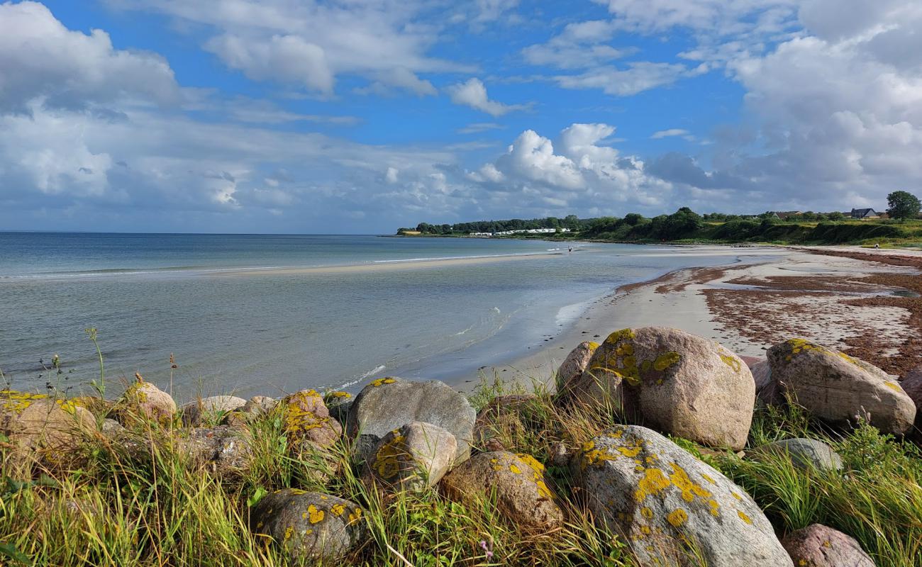 Fynshav Beach'in fotoğrafı parlak kum yüzey ile