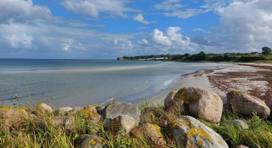 Fynshav Beach