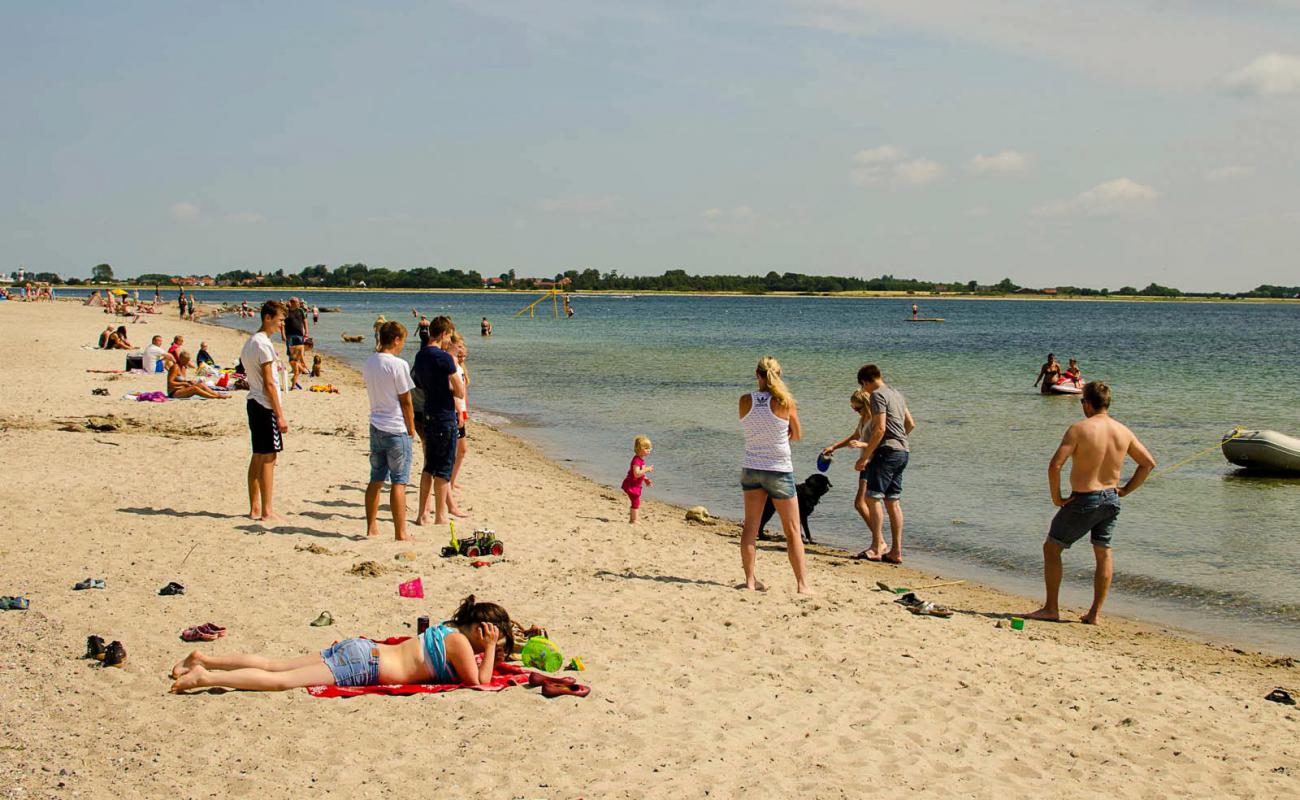 Gammelbro Beach'in fotoğrafı açık bej kum yüzey ile