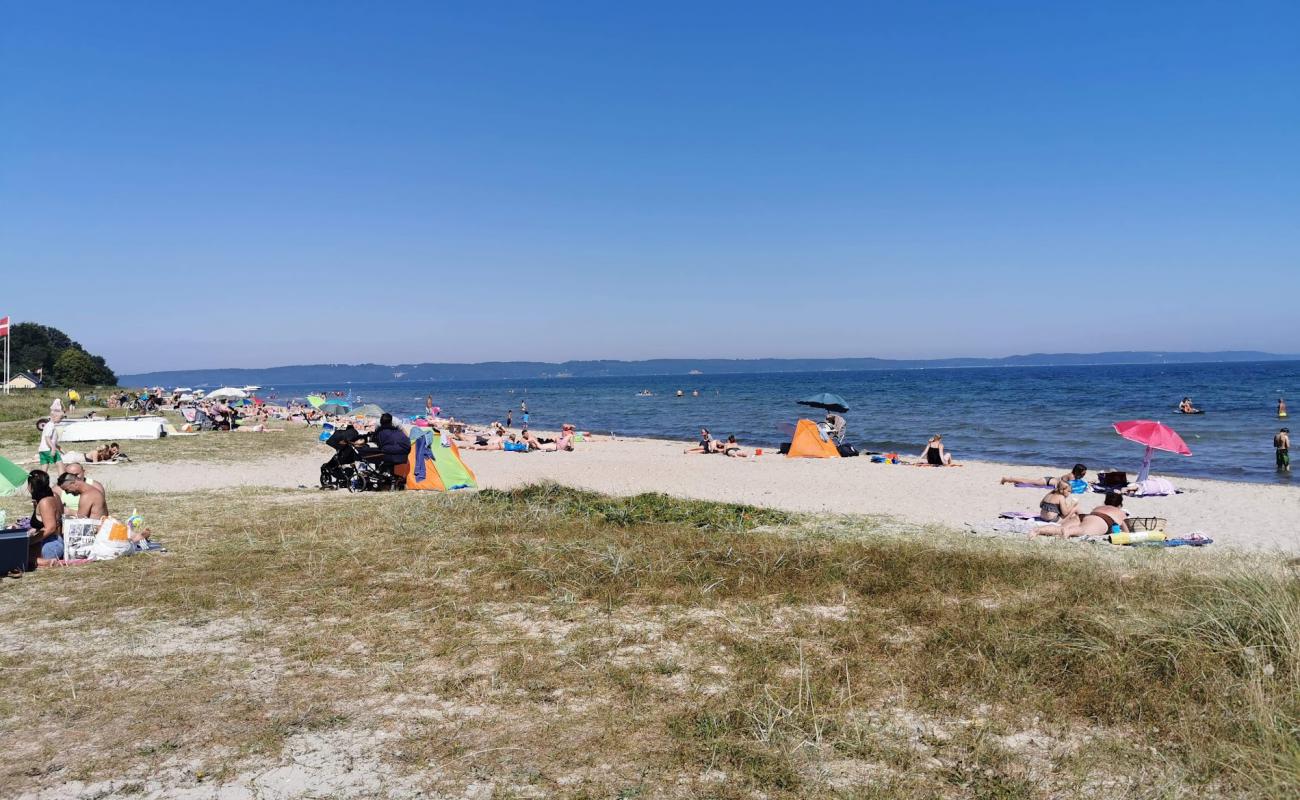 Holl Beach'in fotoğrafı açık bej kum yüzey ile