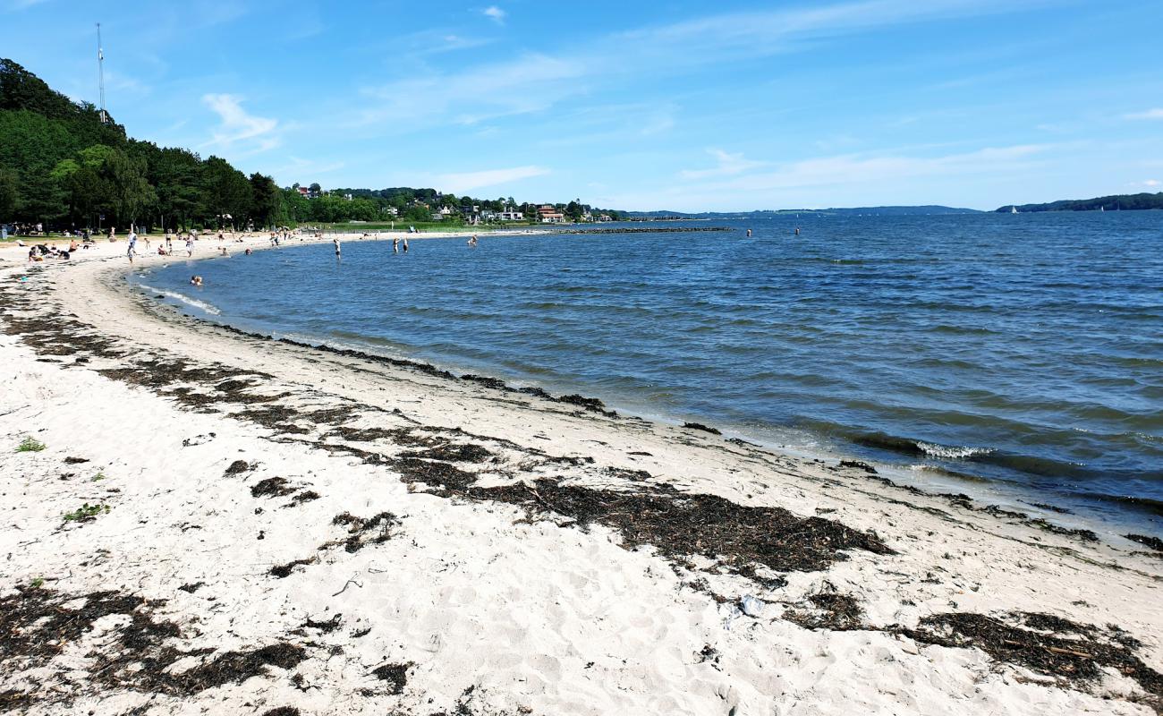 Albuen Beach'in fotoğrafı parlak kum yüzey ile