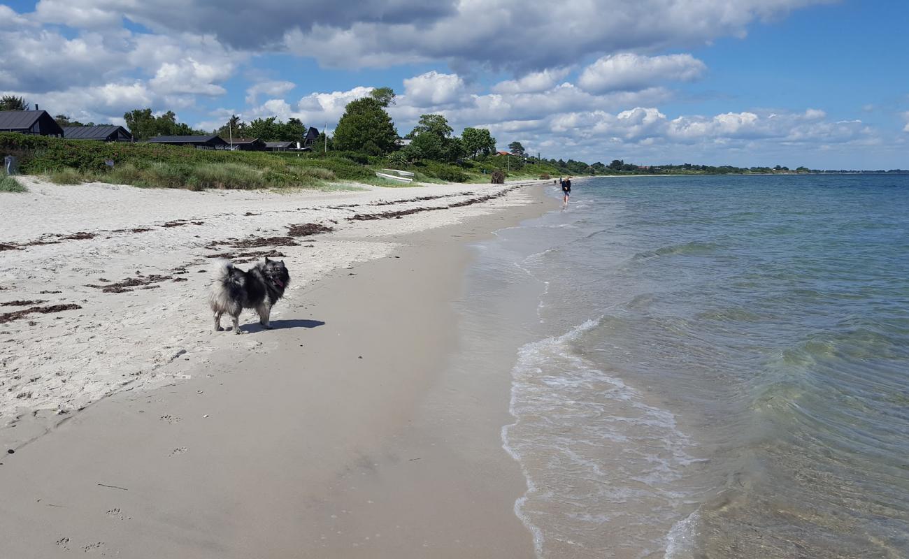 Saksild Beach'in fotoğrafı parlak kum yüzey ile