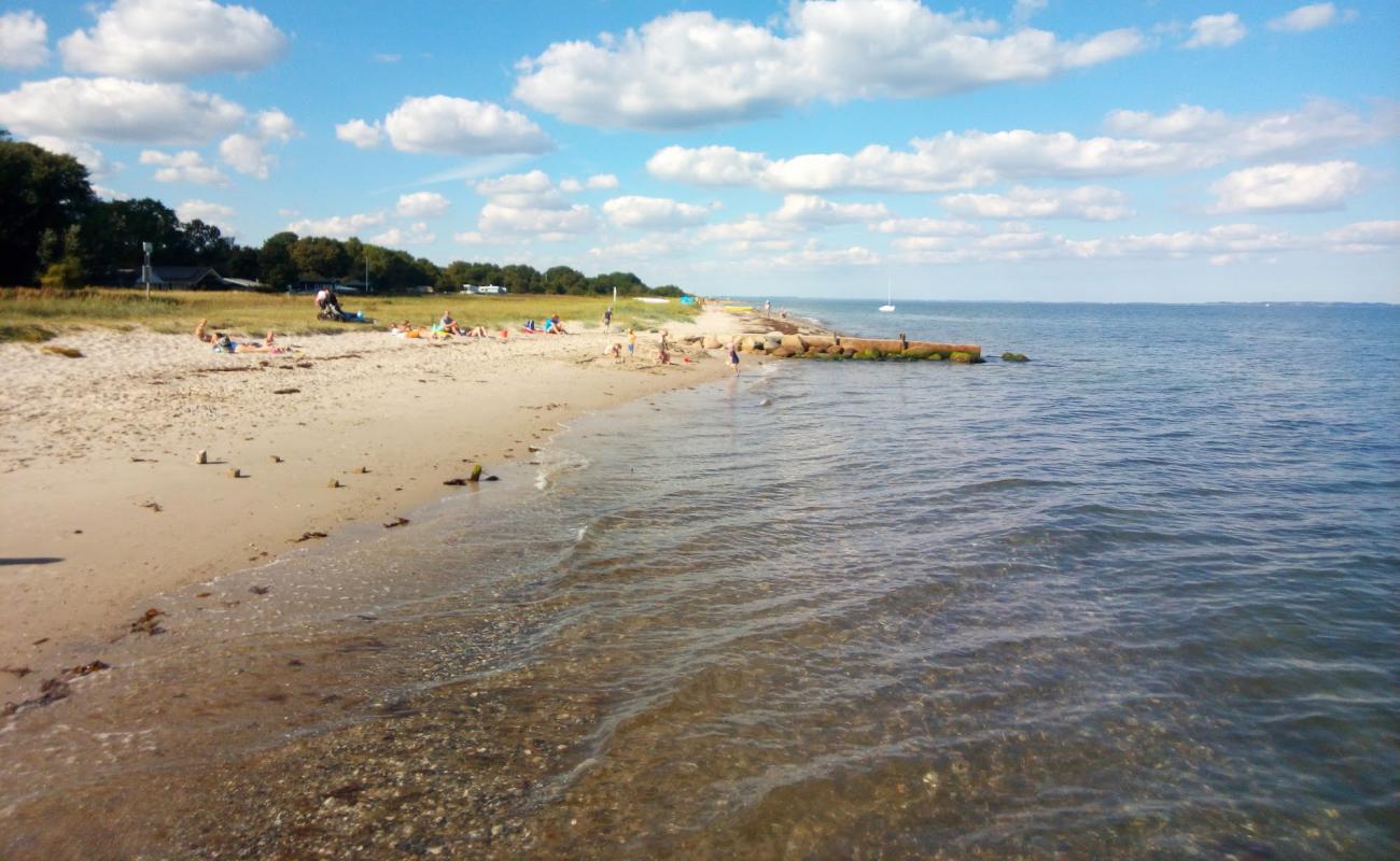 Ajstrup Beach'in fotoğrafı açık bej kum yüzey ile