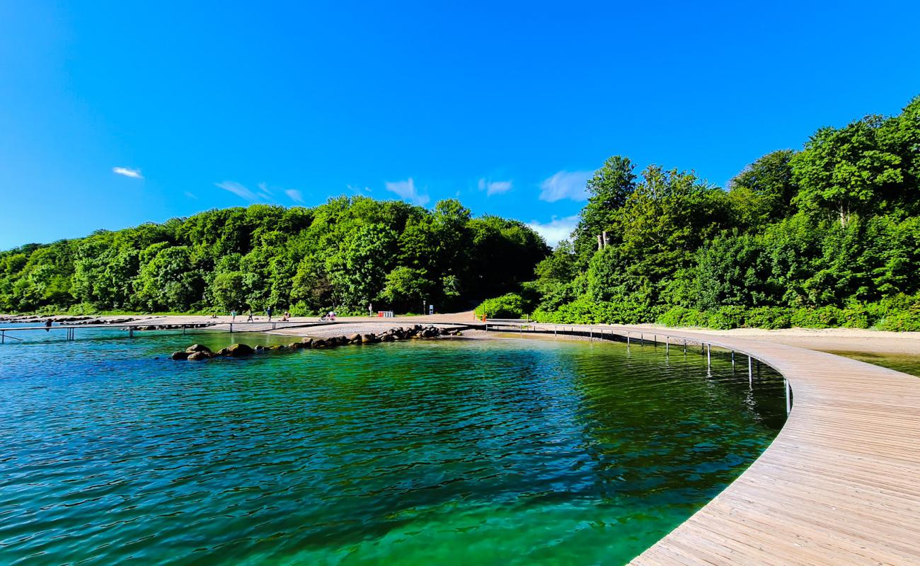 Ballehage Beach'in fotoğrafı açık bej kum yüzey ile