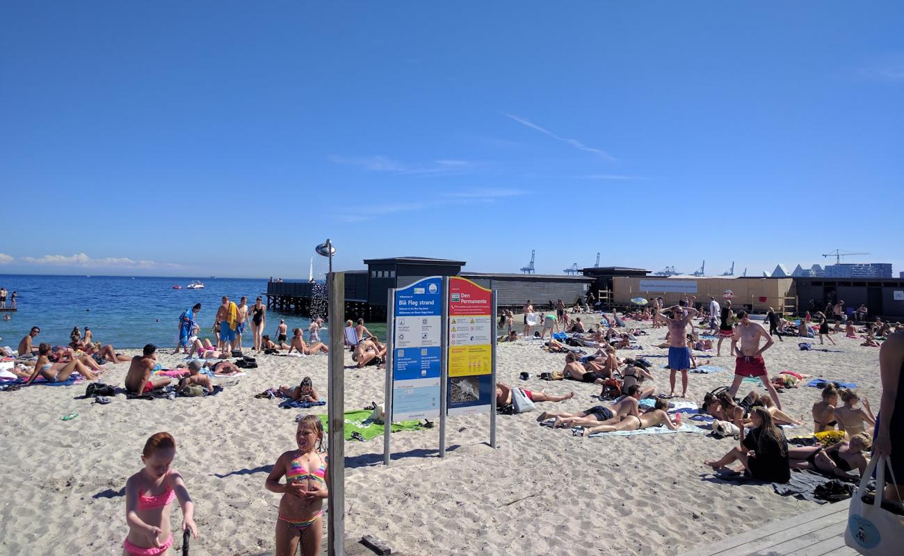 Den Permanente Beach'in fotoğrafı parlak kum yüzey ile