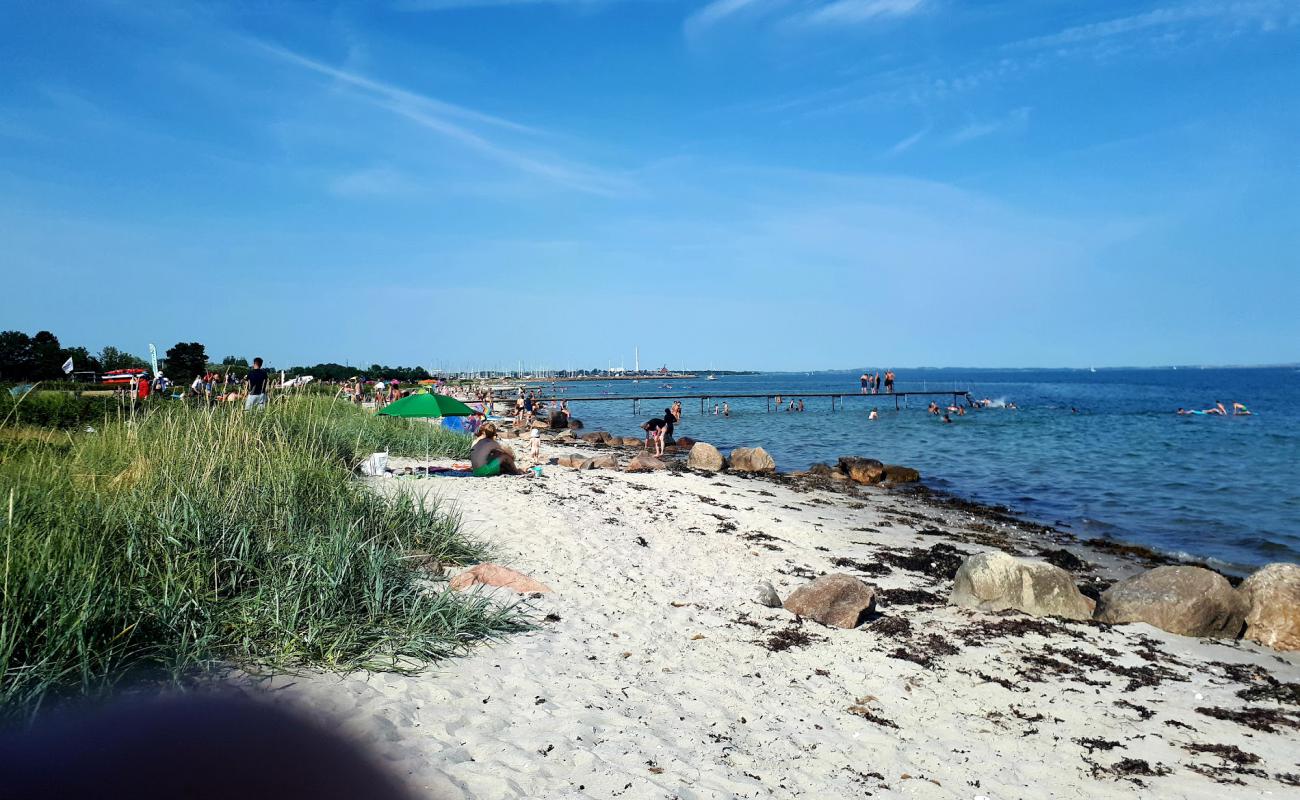 Akrogen Beach'in fotoğrafı açık bej kum yüzey ile
