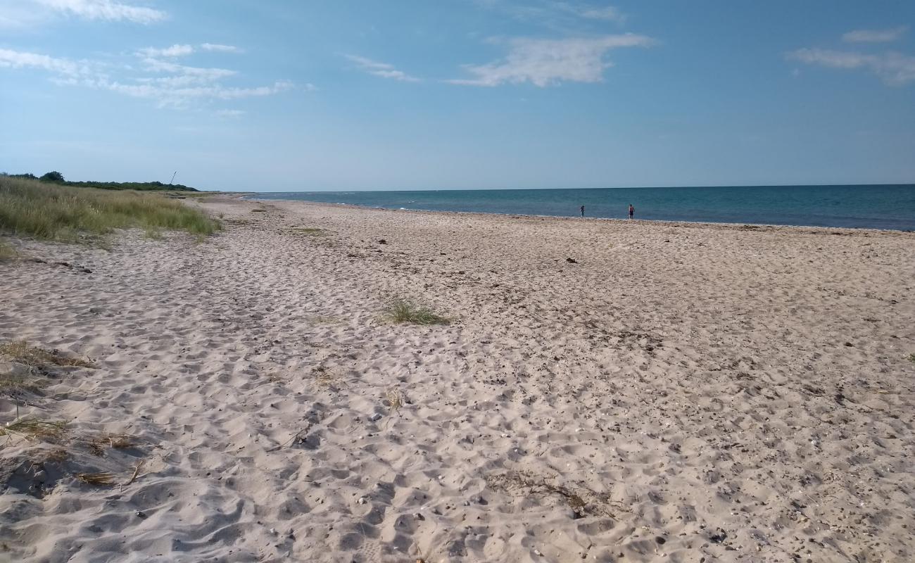 Gjerrild Nord Beach'in fotoğrafı parlak kum yüzey ile