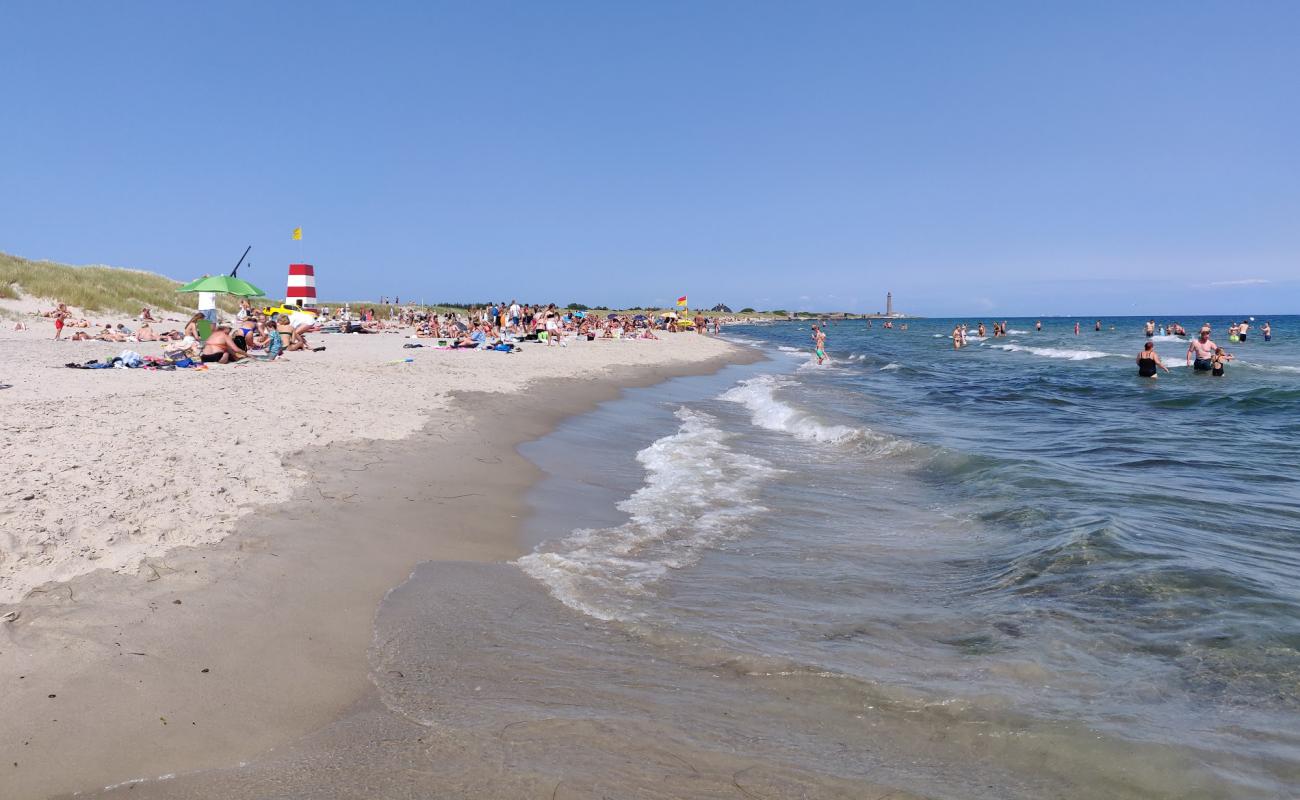 Skagen Sonder Beach'in fotoğrafı parlak kum yüzey ile