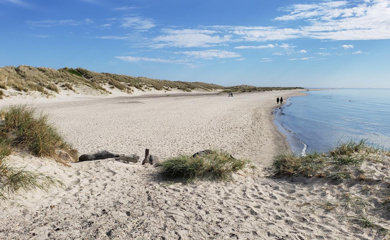 Skagen Nord Beach'in fotoğrafı parlak kum yüzey ile