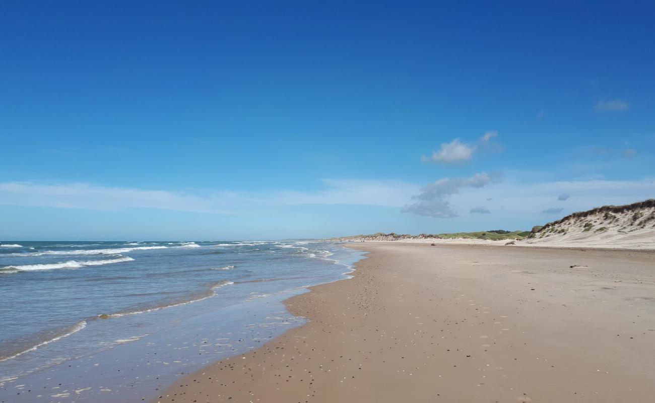 Tversted Beach'in fotoğrafı parlak kum yüzey ile