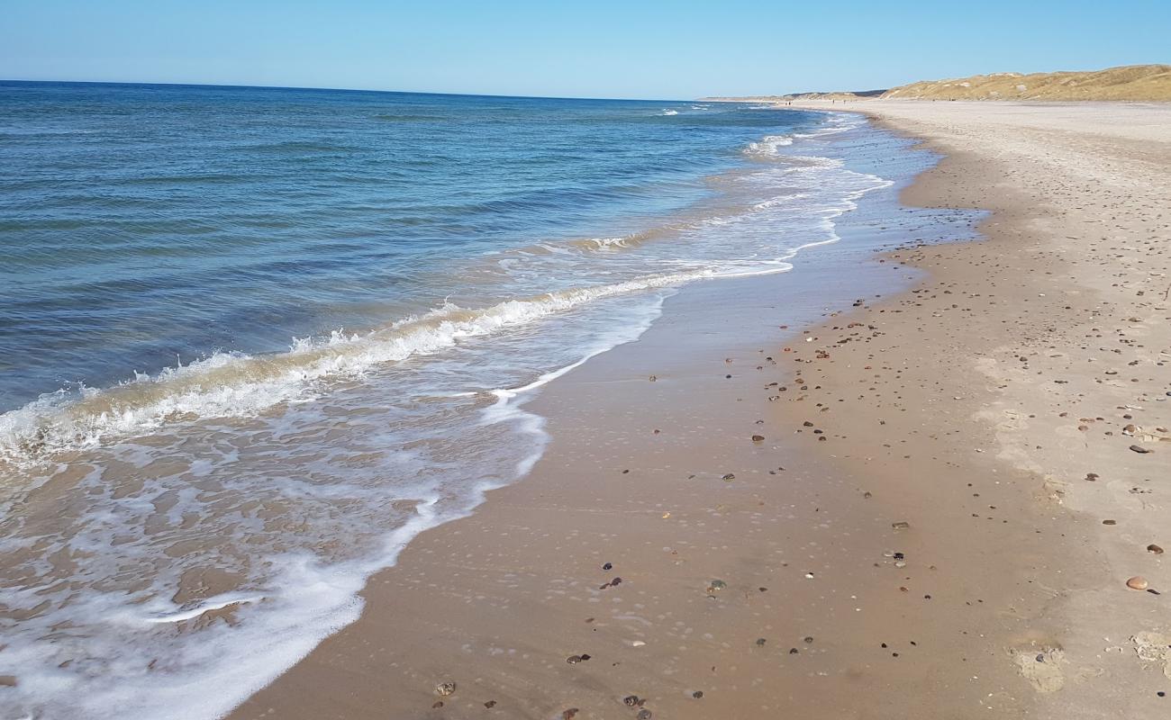 Kersgard Beach'in fotoğrafı parlak kum yüzey ile