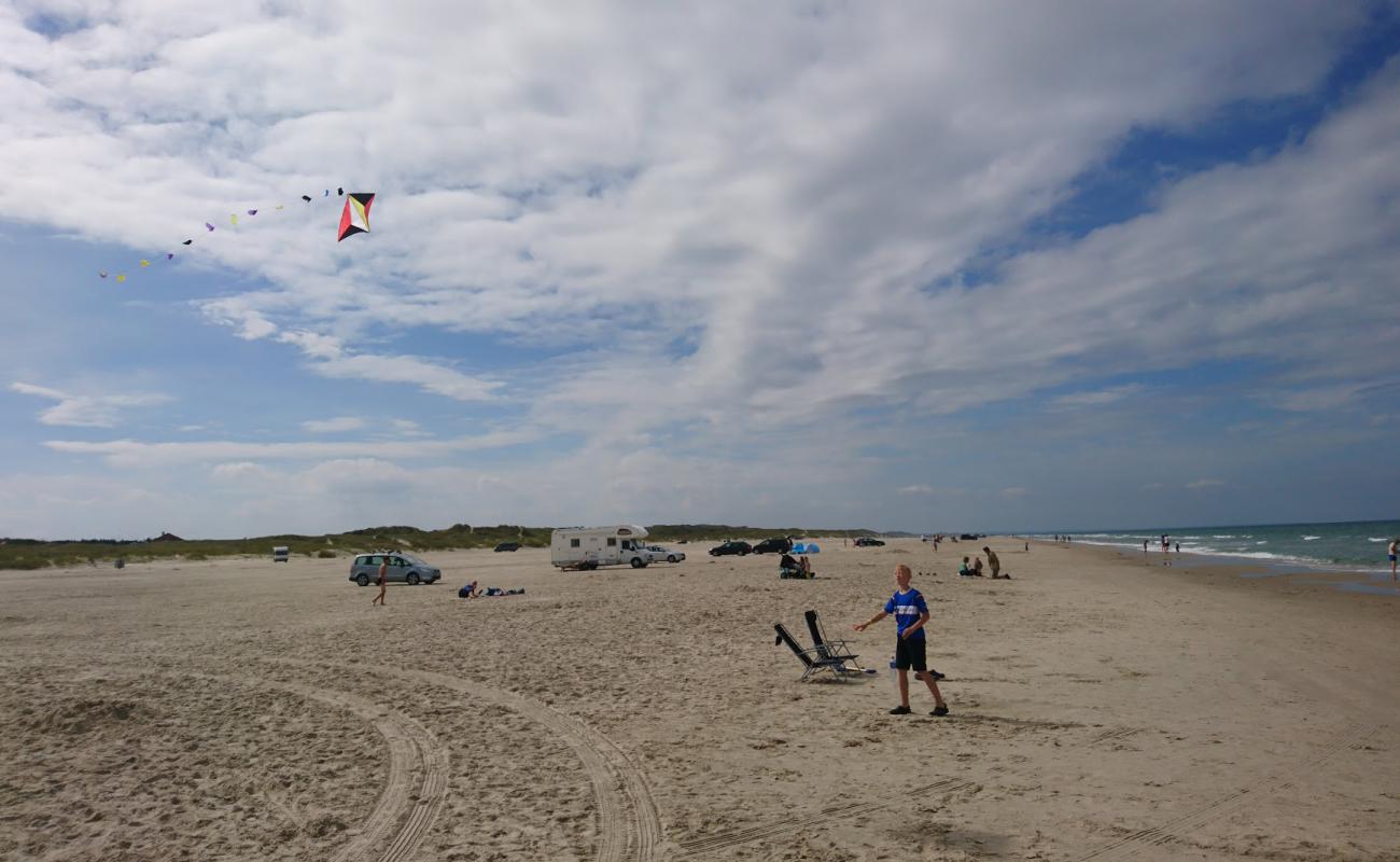 Gronhoj Beach'in fotoğrafı parlak kum yüzey ile