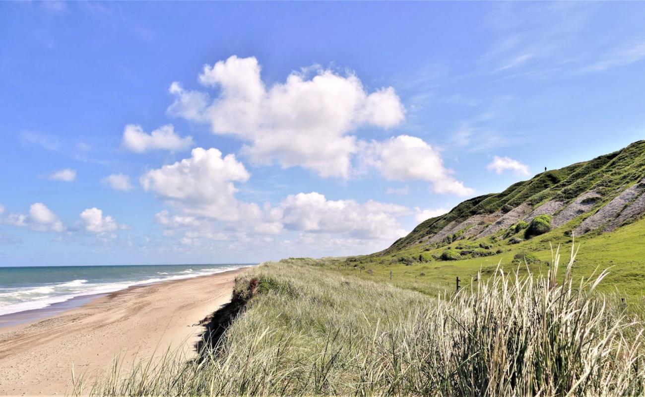 Svinklov Beach'in fotoğrafı parlak kum yüzey ile