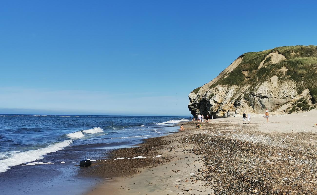 Bulbjerg Beach'in fotoğrafı çakıl ile kum yüzey ile